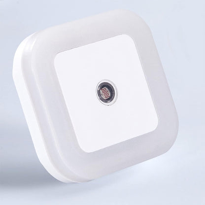 Plug-in Wall Mount Night Light