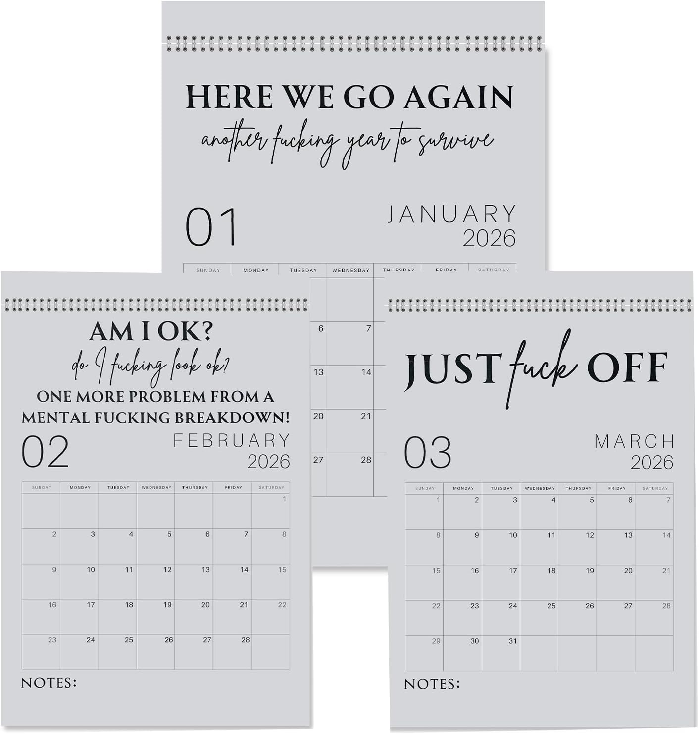 🗓️ "F*ck 2026's Stress:🔥Fuck It 2026 Spiral Bound Wall Calender