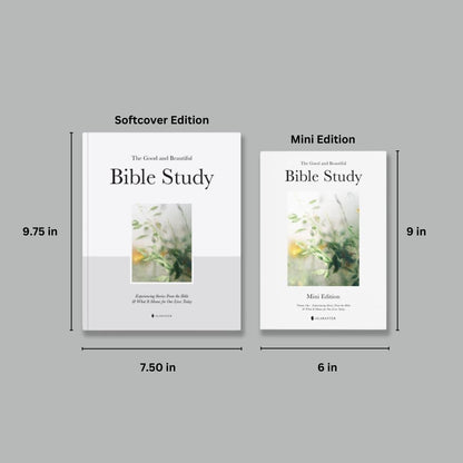 Alabaster Vol 1: Bible Study & Daily Prayers