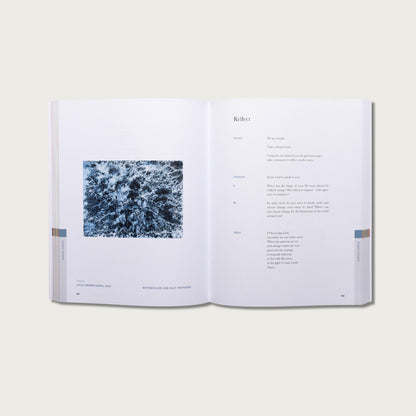 Alabaster Vol 1: Bible Study & Daily Prayers